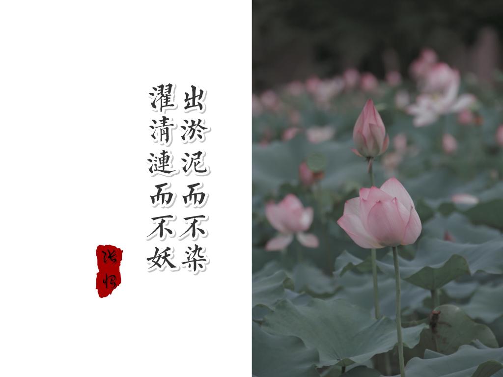 sunbet官网