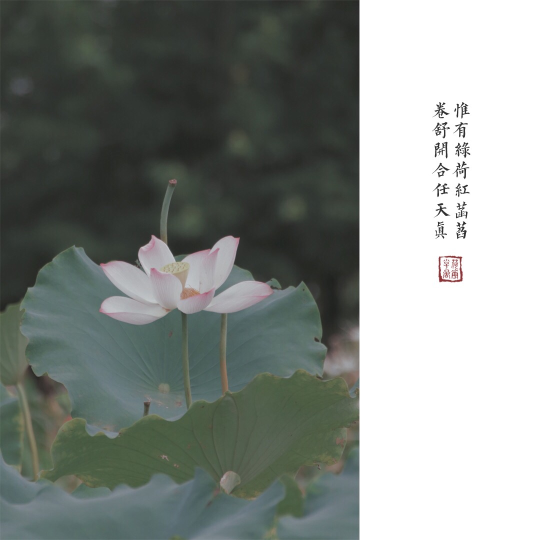 sunbet官网