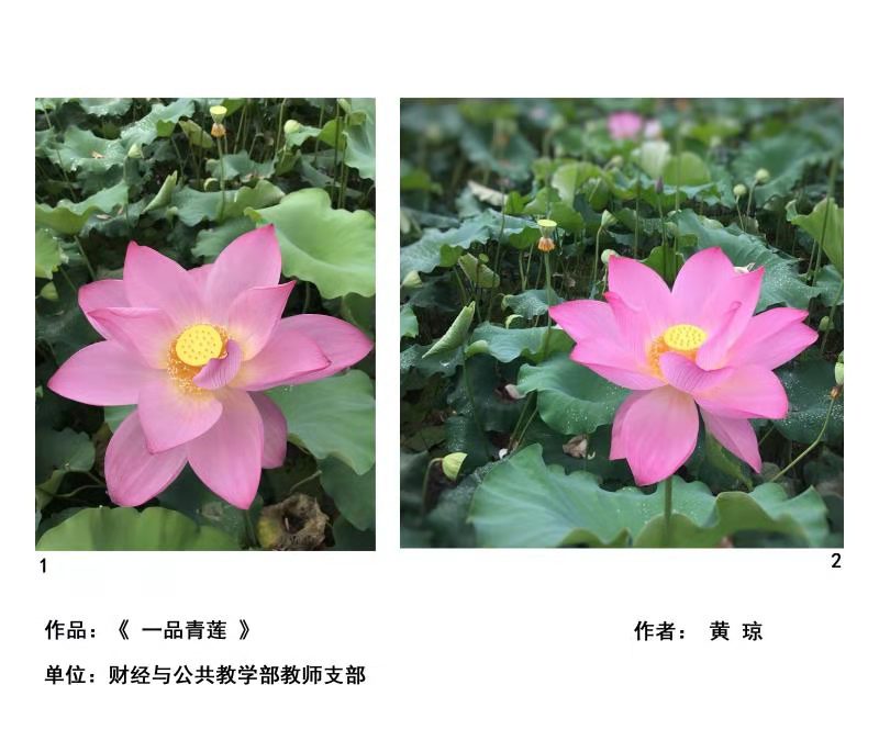 sunbet官网